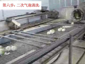 紅皮洋蔥前處理和干燥流水線 紅皮洋蔥前處理和干燥流水線