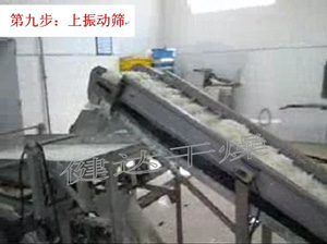 紅皮洋蔥前處理和干燥流水線 紅皮洋蔥前處理和干燥流水線