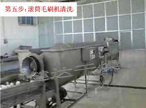 紅皮洋蔥前處理和干燥流水線 紅皮洋蔥前處理和干燥流水線