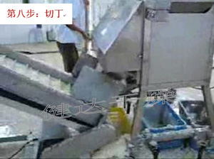 紅皮洋蔥前處理和干燥流水線 紅皮洋蔥前處理和干燥流水線