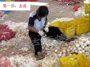 紅皮洋蔥前處理和干燥流水線 紅皮洋蔥前處理和干燥流水線