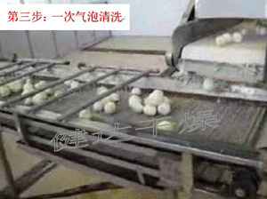 紅皮洋蔥前處理和干燥流水線 紅皮洋蔥前處理和干燥流水線