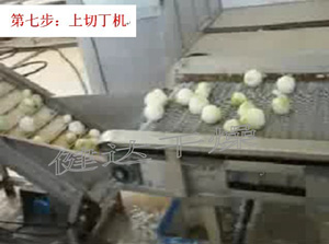 紅皮洋蔥前處理和干燥流水線 紅皮洋蔥前處理和干燥流水線