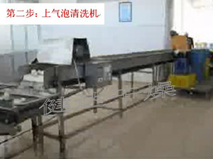 紅皮洋蔥前處理和干燥流水線 紅皮洋蔥前處理和干燥流水線