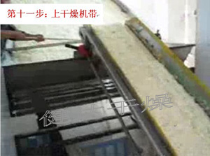 紅皮洋蔥前處理和干燥流水線 紅皮洋蔥前處理和干燥流水線