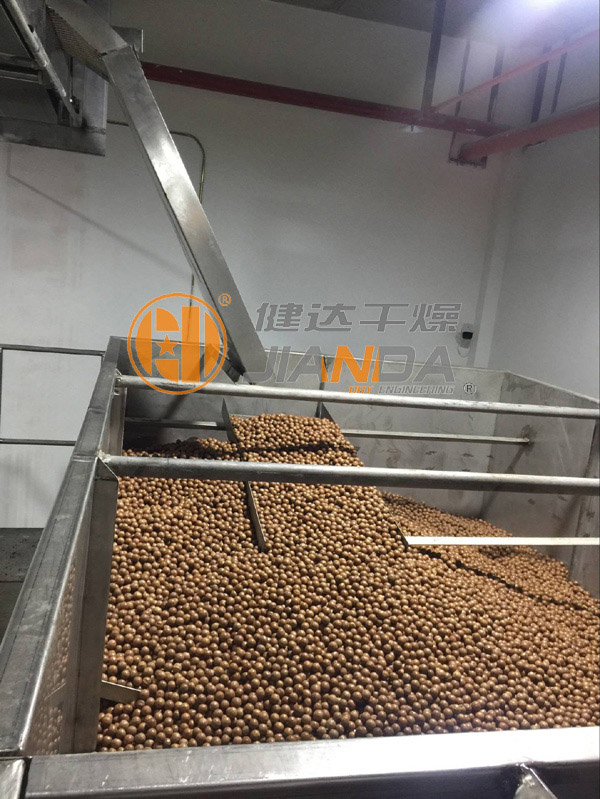 堅果干燥生產(chǎn)線上料